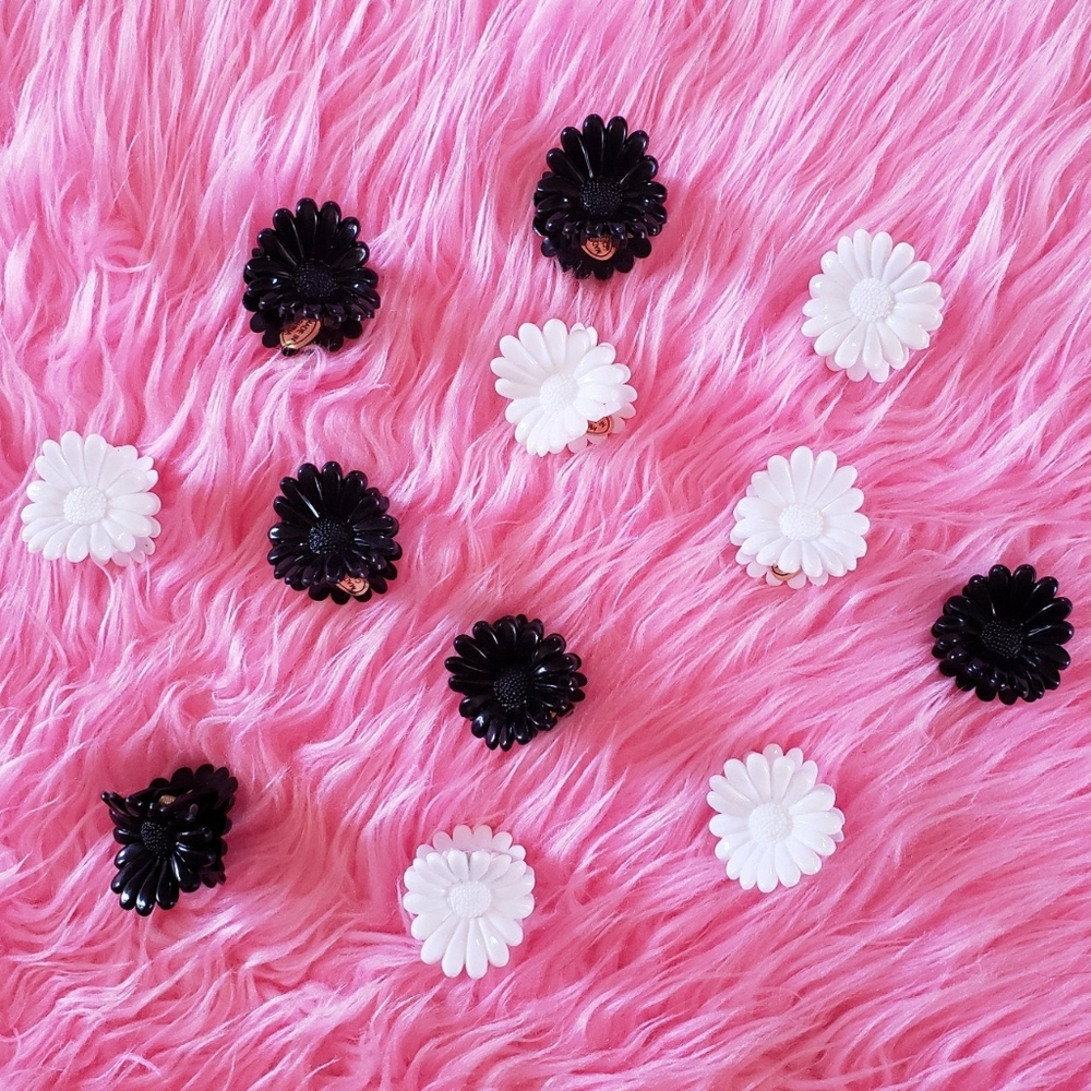 12 pack of black and white daisy hair clips.